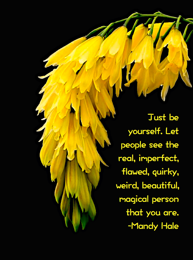 Screen Shot 2016-08-04 at 7.30.08 PM.png