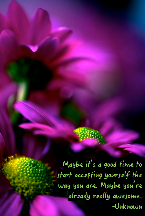 Screen Shot 2016-08-04 at 7.35.02 PM.png