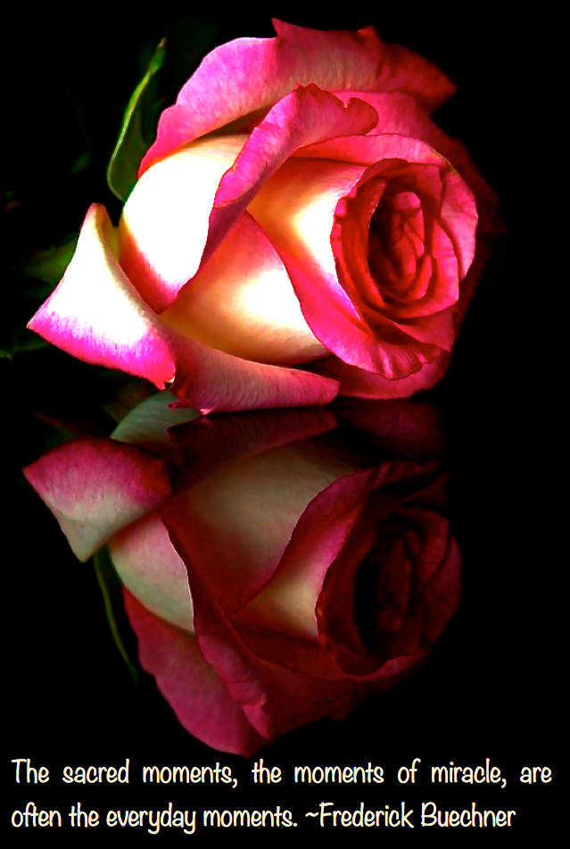 Screen Shot 2016-08-04 at 7.41.48 PM.png