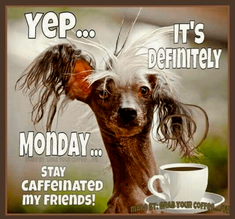 Screen Shot 2016-08-05 at 1.57.14 PM.png