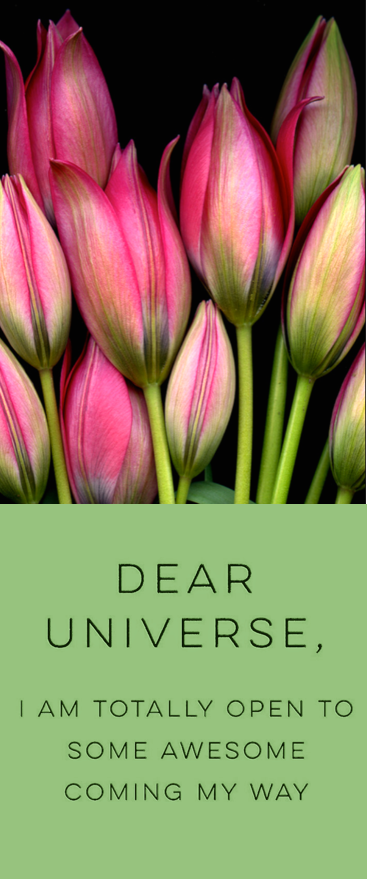 Screen Shot 2016-08-05 at 2.53.01 PM.png