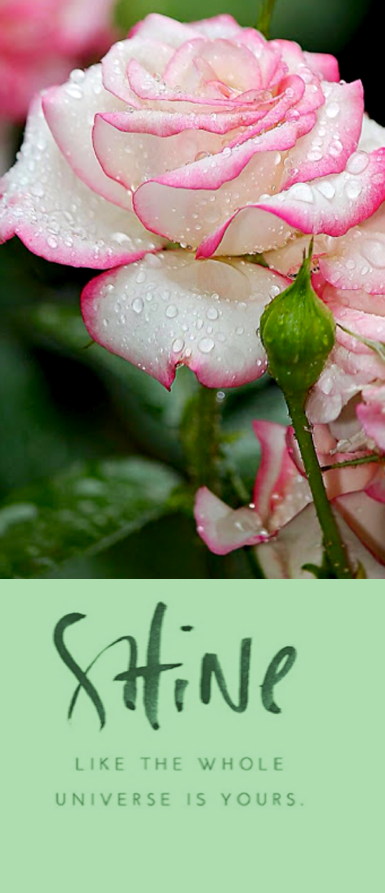 Screen Shot 2016-08-05 at 3.05.24 PM.png