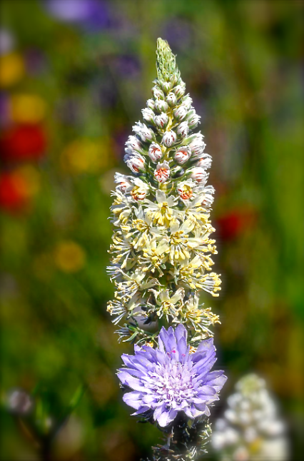 Screen Shot 2016-08-05 at 5.55.42 PM.png