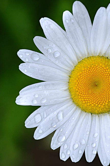 Screen Shot 2016-08-05 at 6.10.37 PM.png