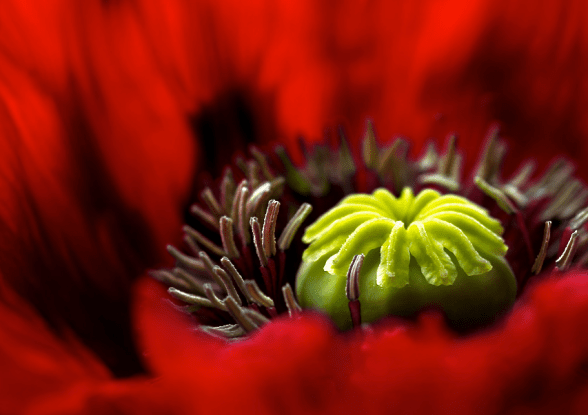 Screen Shot 2016-08-05 at 6.13.40 PM.png