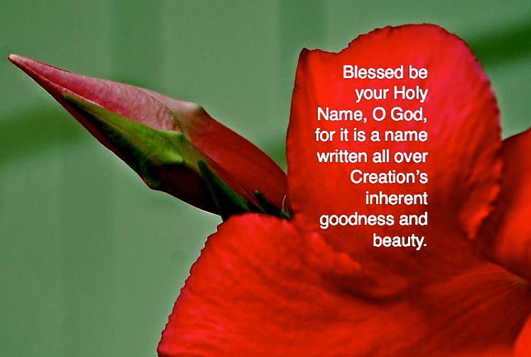 Screen Shot 2016-08-07 at 2.23.52 PM.png