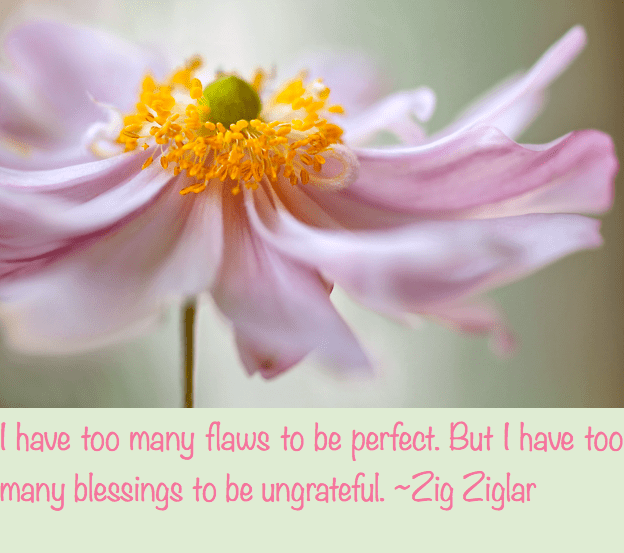 Screen Shot 2016-08-07 at 4.19.18 PM.png