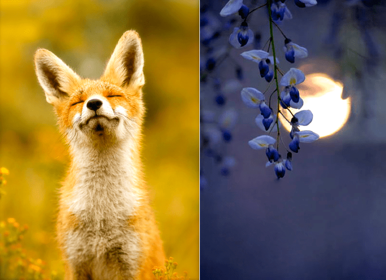 Screen Shot 2016-08-08 at 6.47.34 PM.png