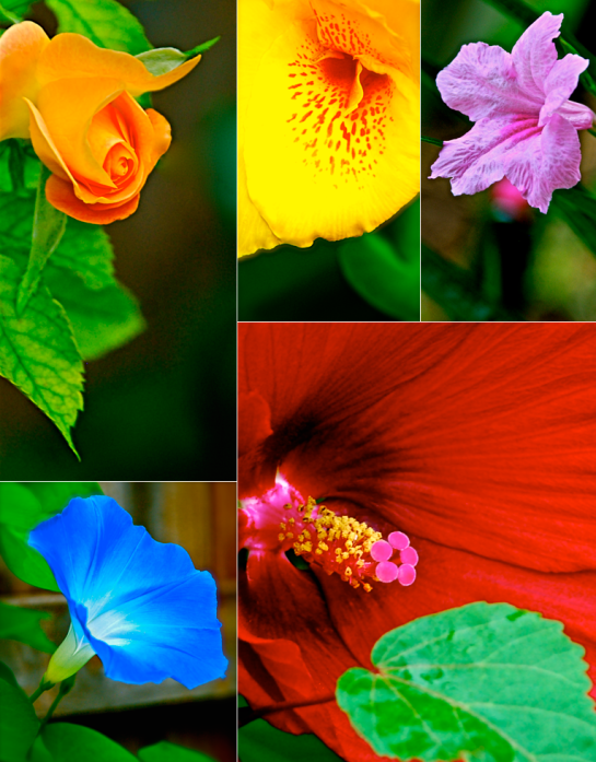 Screen Shot 2016-08-10 at 3.24.50 PM.png