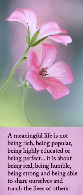 Screen Shot 2016-08-11 at 10.13.38 PM.png