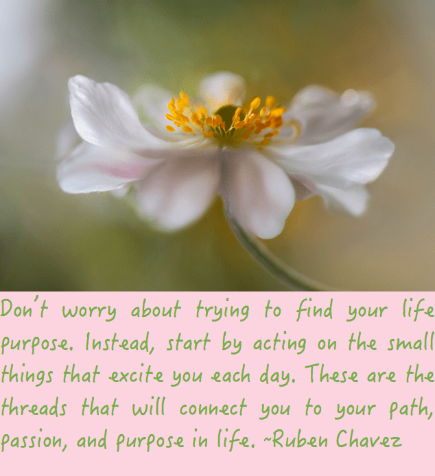 Screen Shot 2016-08-11 at 10.29.38 PM.png