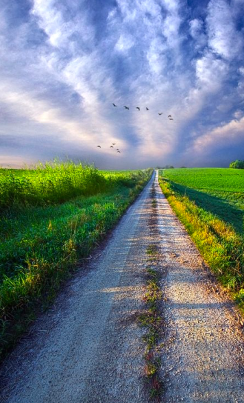 Screen Shot 2016-08-11 at 7.48.24 PM.png