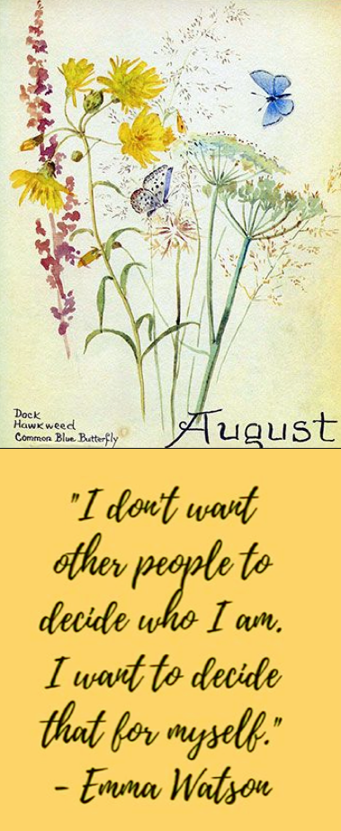 Screen Shot 2016-08-14 at 10.06.45 PM.png