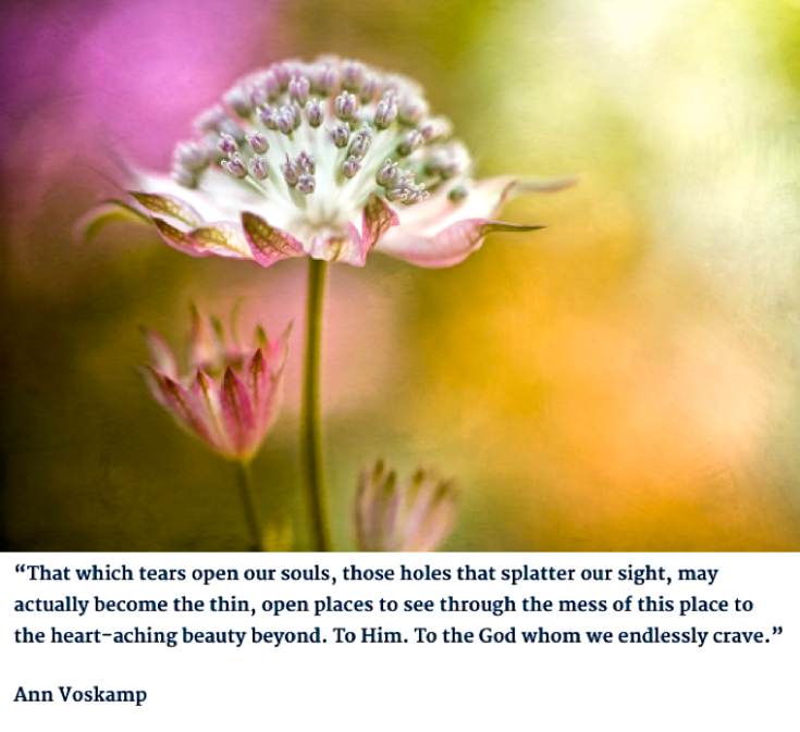 Screen Shot 2016-08-15 at 10.43.40 PM.png