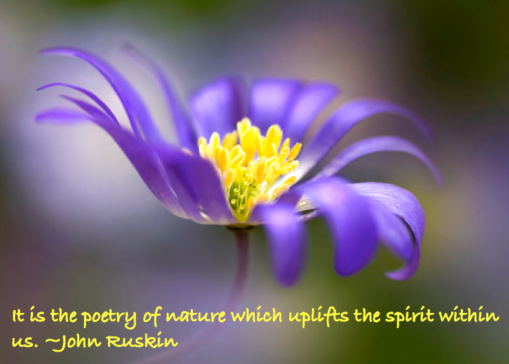 Screen Shot 2016-08-15 at 10.46.48 PM.png