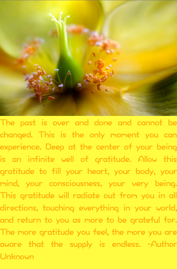 Screen Shot 2016-08-15 at 10.58.19 PM.png