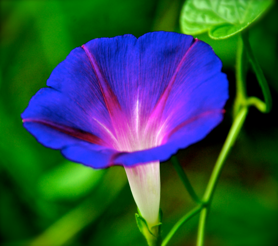 Screen Shot 2016-08-16 at 8.41.04 PM.png