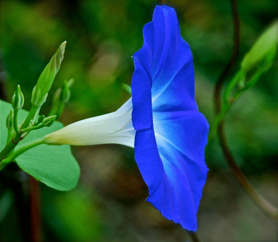 Screen Shot 2016-08-16 at 8.50.56 PM.png