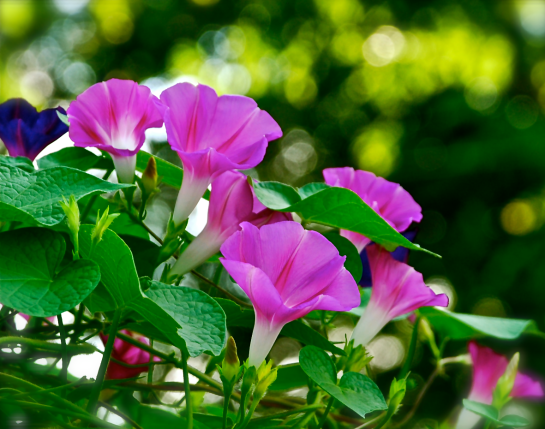 Screen Shot 2016-08-16 at 8.54.53 PM.png