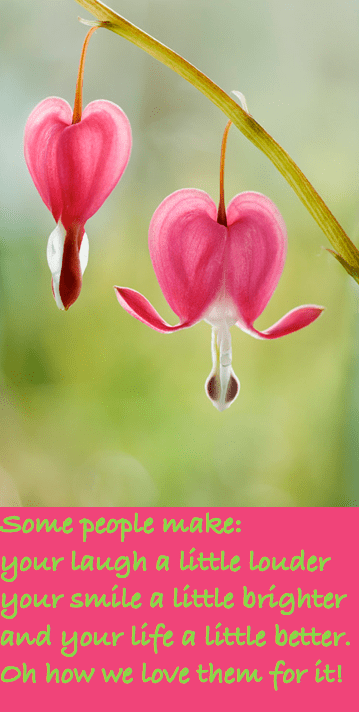 Screen Shot 2016-08-17 at 10.17.31 PM.png