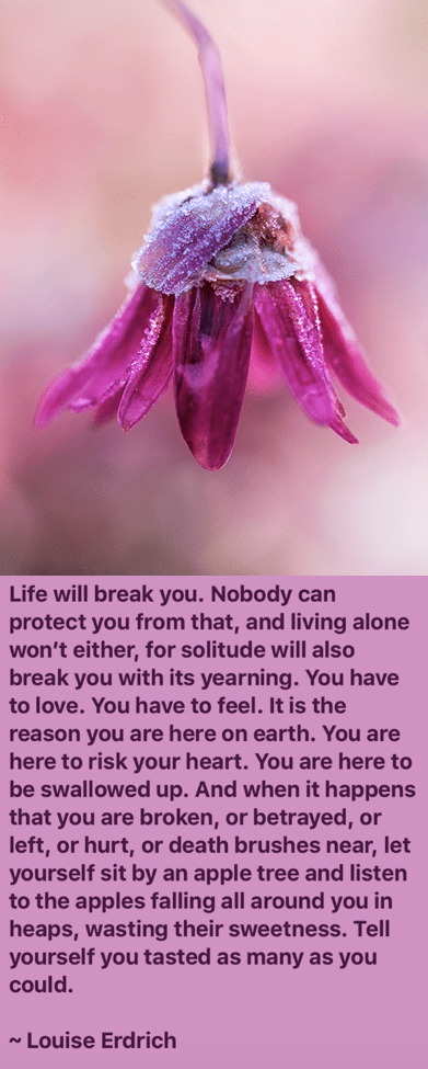 Screen Shot 2016-08-17 at 10.25.02 PM.png