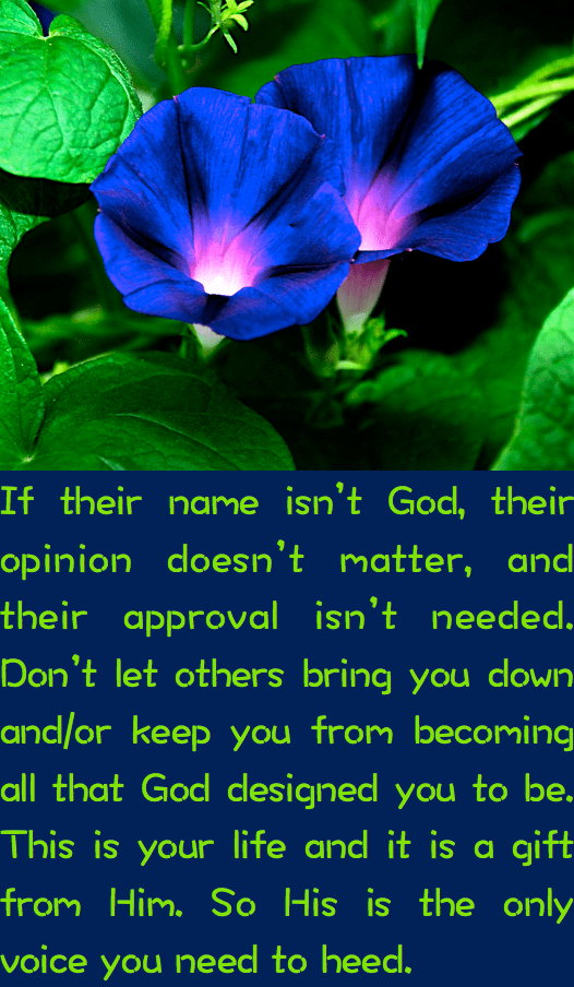 Screen Shot 2016-08-17 at 11.02.51 AM.png