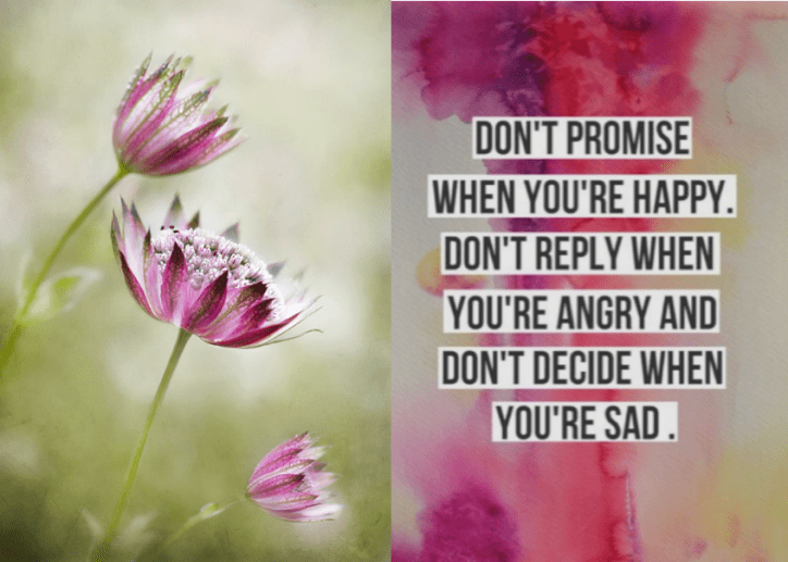 Screen Shot 2016-08-17 at 7.04.31 PM.png