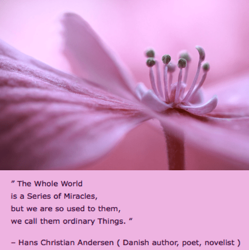 Screen Shot 2016-08-18 at 10.18.53 PM.png