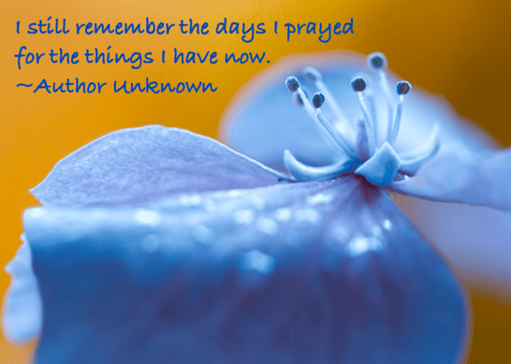 Screen Shot 2016-08-18 at 10.25.04 PM.png