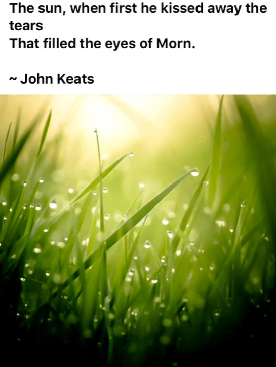 Screen Shot 2016-08-18 at 4.11.56 PM.png