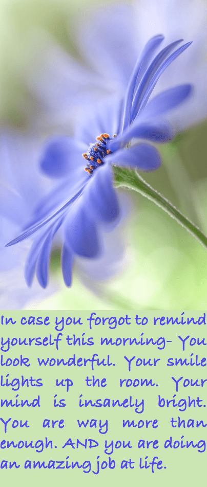 Screen Shot 2016-08-19 at 10.25.25 PM.png