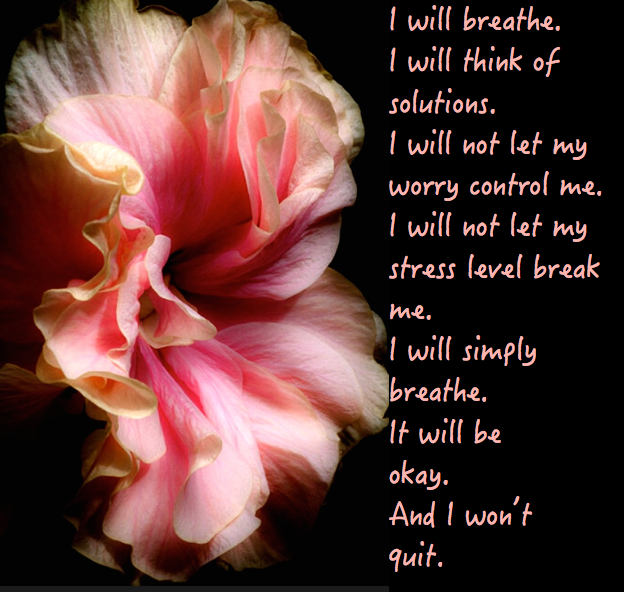 Screen Shot 2016-08-19 at 10.35.30 PM.png