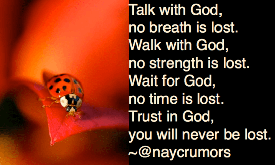 Screen Shot 2016-08-19 at 10.42.43 PM.png