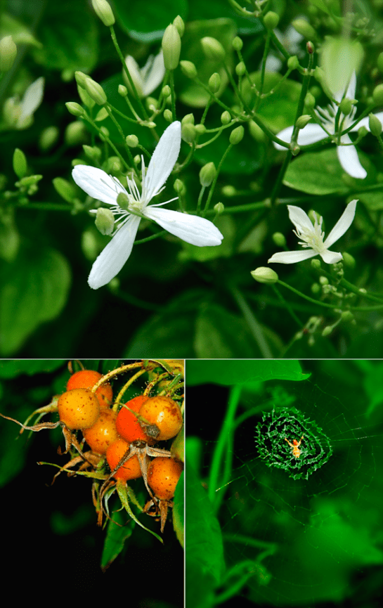 Screen Shot 2016-08-19 at 3.31.27 PM.png