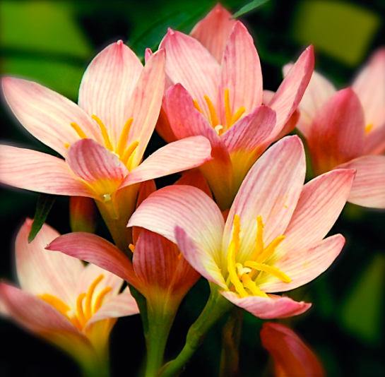 Screen Shot 2016-08-20 at 6.41.21 PM.png