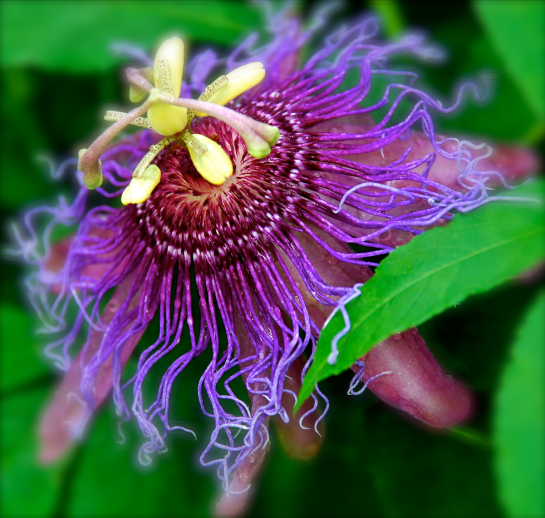 Screen Shot 2016-08-20 at 6.47.40 PM.png