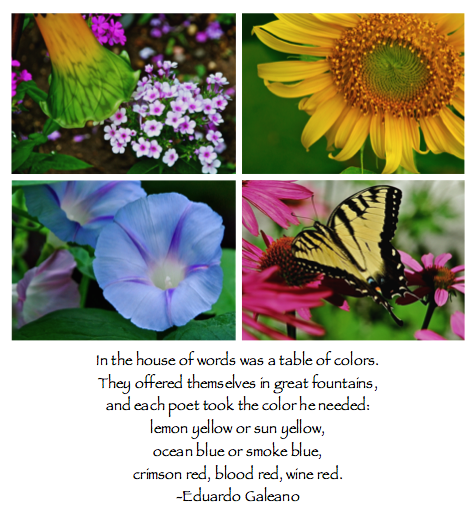 Screen Shot 2016-08-20 at 6.51.19 PM.png