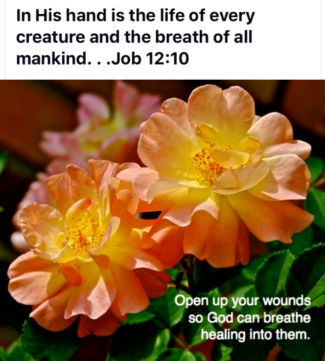 Screen Shot 2016-08-21 at 10.16.58 PM.png