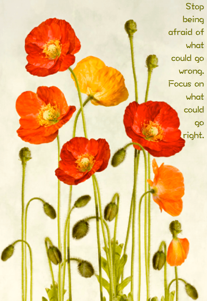 Screen Shot 2016-08-21 at 10.45.59 PM.png