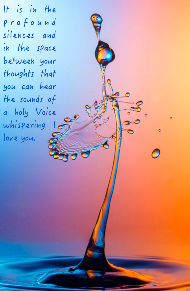 Screen Shot 2016-08-21 at 10.51.49 PM.png