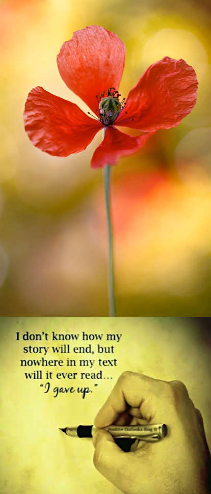 Screen Shot 2016-08-21 at 10.54.59 PM.png