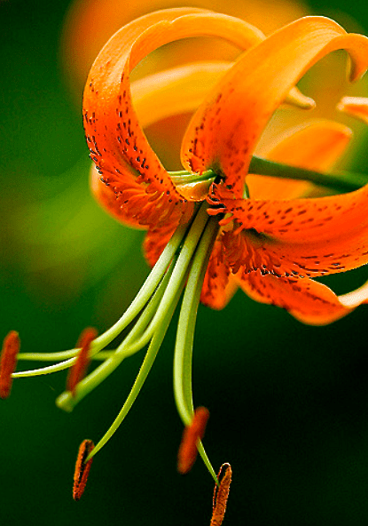 Screen Shot 2016-08-21 at 5.53.02 PM.png