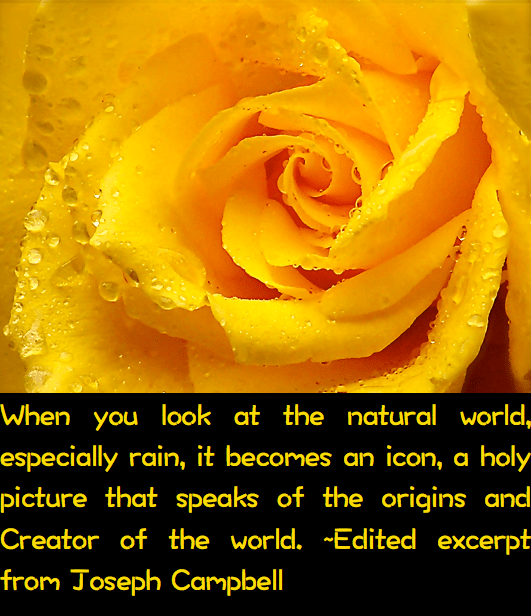 Screen Shot 2016-08-22 at 9.49.50 PM.png