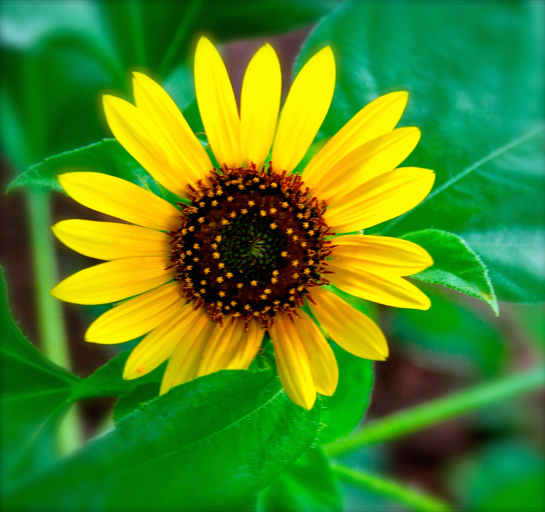 Screen Shot 2016-08-23 at 4.35.25 PM.png