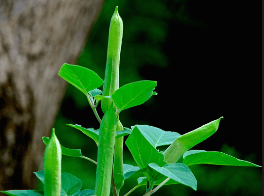 Screen Shot 2016-08-23 at 4.36.31 PM.png