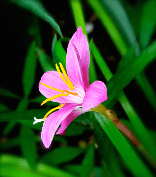 Screen Shot 2016-08-23 at 4.37.35 PM.png