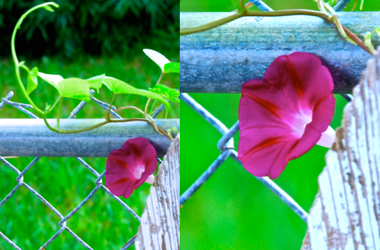 Screen Shot 2016-08-23 at 4.57.02 PM.png