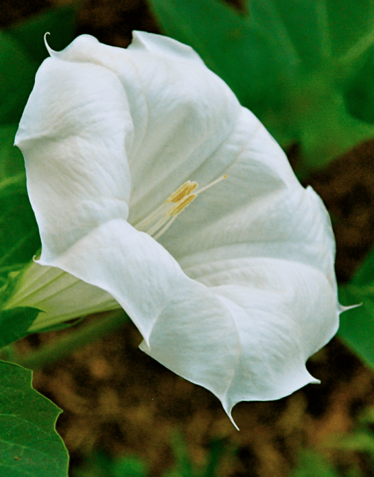 Screen Shot 2016-08-23 at 5.24.43 PM.png