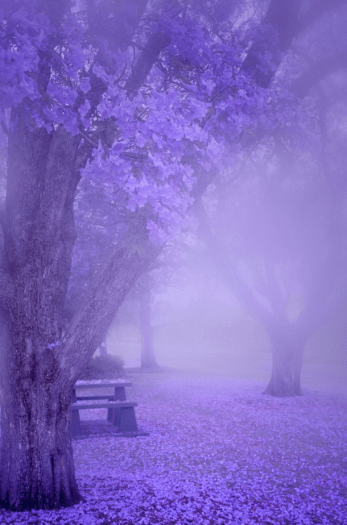 Screen Shot 2016-08-25 at 3.24.12 PM.png