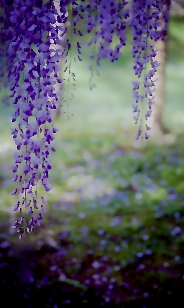 Screen Shot 2016-08-25 at 5.28.18 PM.png